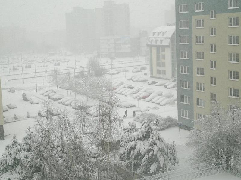 31. března 2013, Boží hod velikonoční, Ostrava-Bělský les