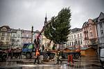 Centrální Masarykovo náměstí v Ostravě bude po pěti letech během Vánoc znovu zdobit živý vánoční strom. Přibližně desetimetrový smrk ztepilý z lokality Jestřábí v Beskydech byl 22. listopadu 2021 přivezen do krajské metropole.