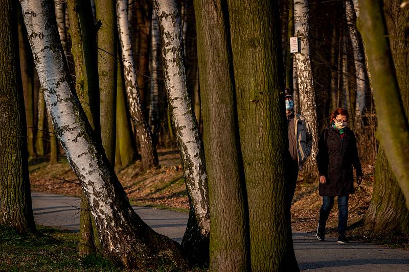 Lidé v rouškách na procházce v Bělském lese v Ostravě, 28. března 2020