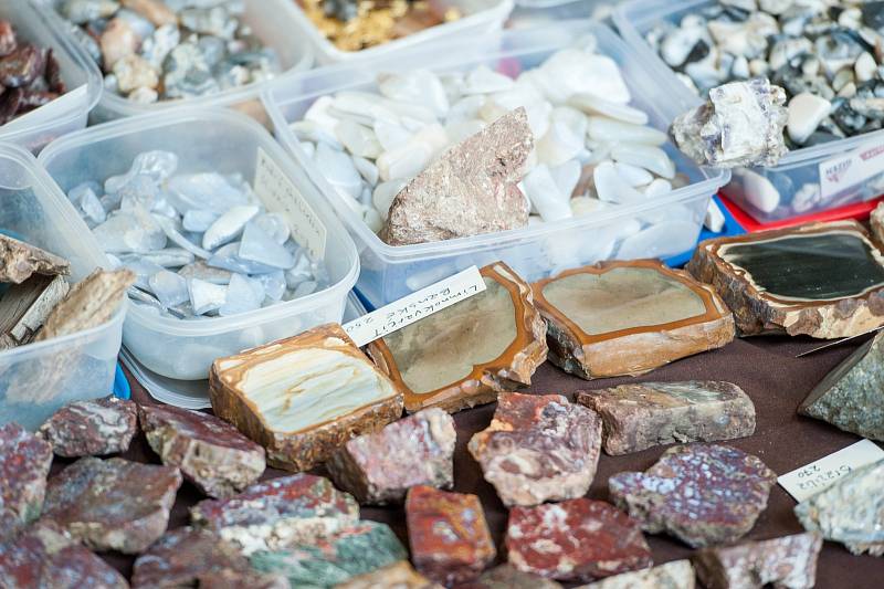 Mineralogická burza, spojená s výstavou přírodnin, fosilií a šperků na VŠB v Ostravě.