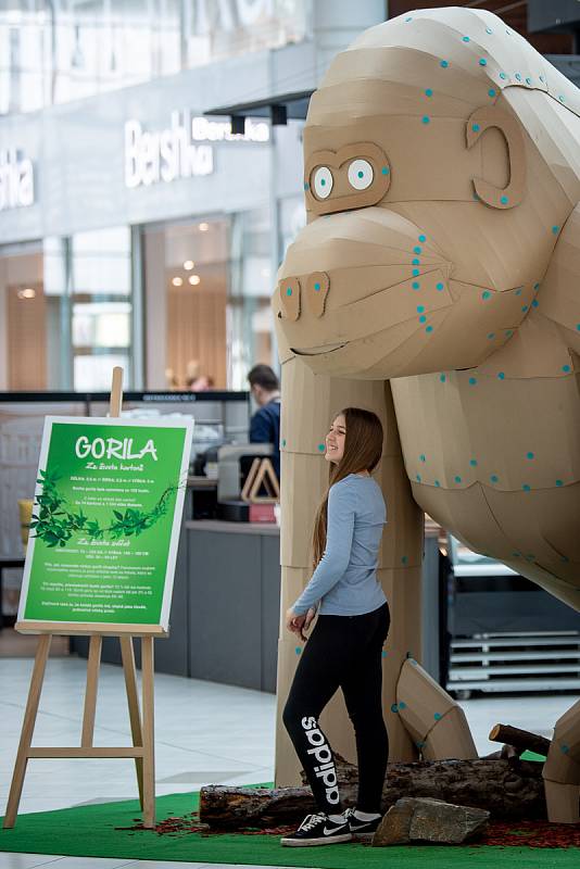 Obchodní centrum Avion Shopping Park v Ostravě v čase před koronavirovou pandemií. Ilustrační foto.