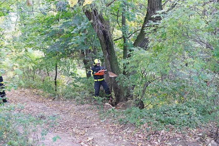 Taktické cvičení zaměřené na likvidaci požáru lesa v těžce přístupném terénu.