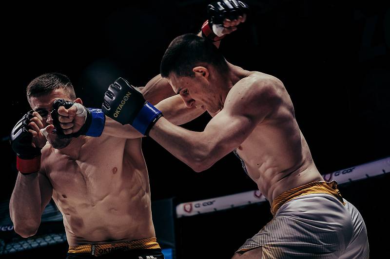 Oktagon 24, Brno, MMA, 29. května. Foto: Oktagon MMA