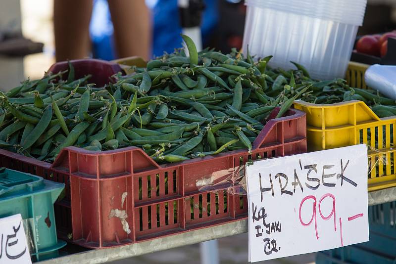 Ekologické nakupování nejen domácích produktů do vlastních přinesených tašek a obalů si získává stále větší popularitu na trzích i v kamenných obchodech v celém Česku. Ilustrační fotografie.