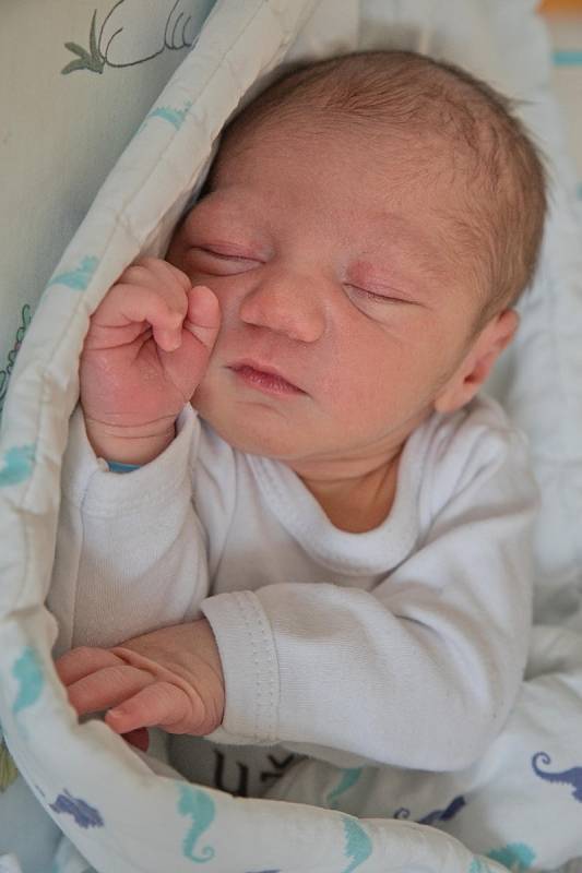 Andrej Giňa, Karviná, narozen 7. května 2022 v Karviné, míra 47 cm, váha 3270 g. Foto: Marek Běhan
