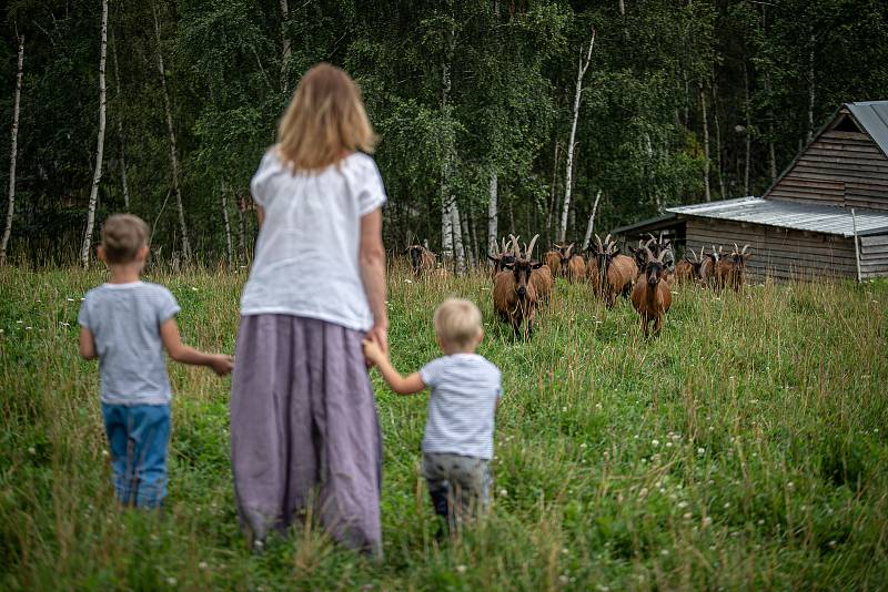 Ekologické farma U Stromovouse ve Světlé Hoře.