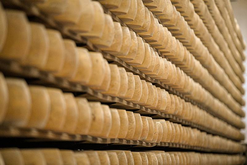 Tradiční sklad sýrů společnosti Gran Moravia, 11. srpna 2021 v Bevadoro, Itálie. Kapacita skladu je až 10000 bochníků sýrů.