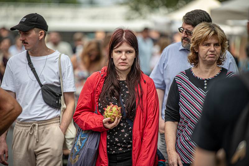 Víkendová pěší zóna Malá Kodaň, kde se uskutečnily farmářské Trhy, co se hledají, 15. srpna 2020 v Ostravě.