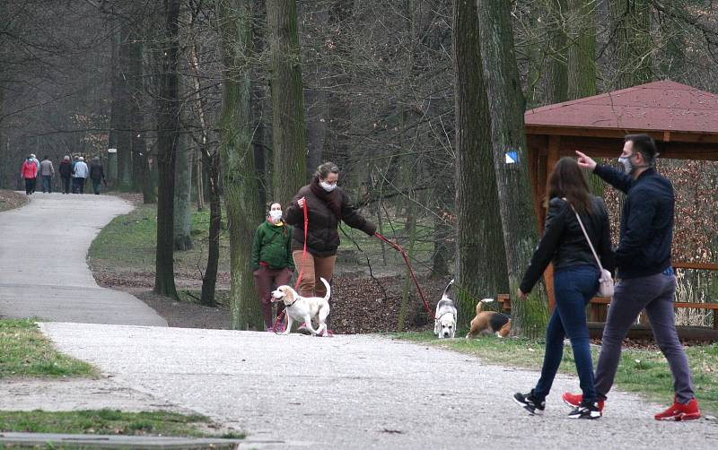 JIH znamená Hrabůvku, Dubinu, Bělský Les, Výškovice a Zábřeh, podívejte se, jaké jsou dopady koronavirové nákazy tady.