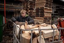 Výroba palivového dřeva v pile Kukučka, 1. listopadu 2022 v Ostravě.