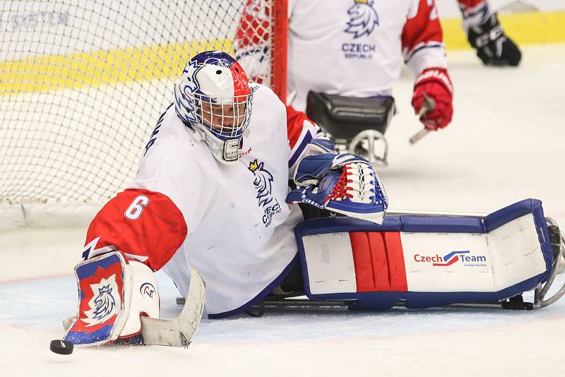 Mistrovství světa v para hokeji 2019, Korea - Česká republika (zápas o 3. místo), 4. května 2019 v Ostravě. Na snímku Vapenka Michal (CZE).