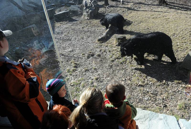 Komentované krmení v ostravské zoo