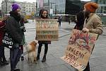 NE! spalovně, protestní happening občanské iniciativy Dýcháme v Ostravě proti státem schválenému a městem odmítanému záměru zvýšit kapacitu linky na likvidaci nebezpečných odpadů CENNZO.Foto: Deník/Radek Luksza