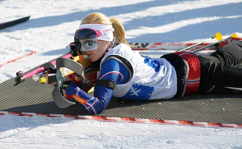 Moravskoslezský kraj patří v těchto dnech zimní olympiádě dětí a mládeže, která vyvrcholí v pátek finálovým turnajem v ledním hokeji a závěrečným ceremoniálem. Her se účastní více než tisíc mladých sportovců z celé republiky.