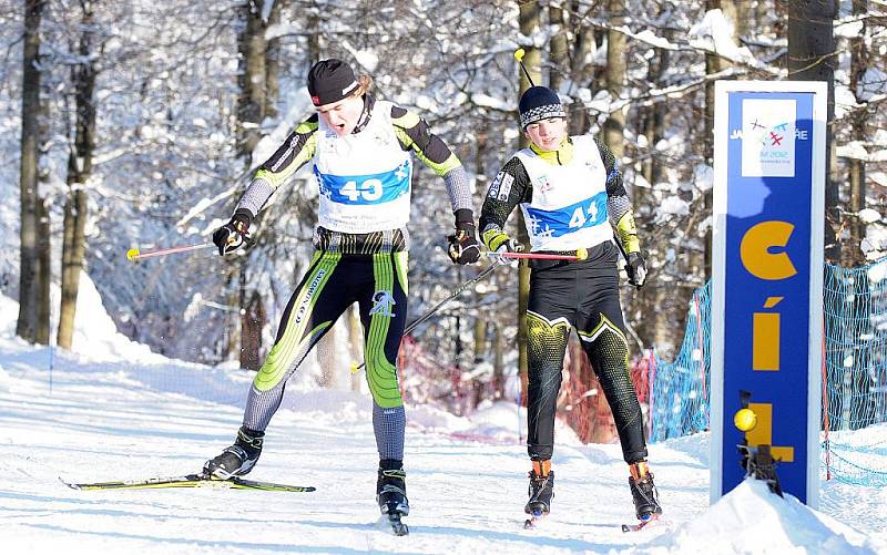 Moravskoslezský kraj patří v těchto dnech zimní olympiádě dětí a mládeže, která vyvrcholí v pátek finálovým turnajem v ledním hokeji a závěrečným ceremoniálem. Her se účastní více než tisíc mladých sportovců z celé republiky.