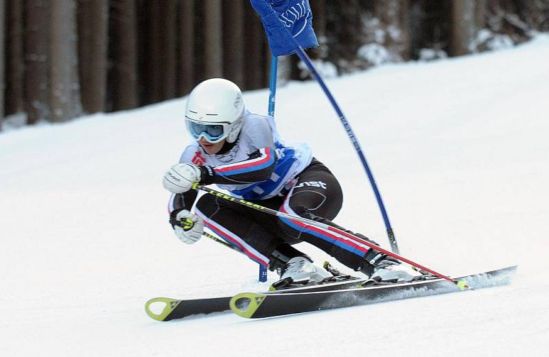 Moravskoslezský kraj patří v těchto dnech zimní olympiádě dětí a mládeže, která vyvrcholí v pátek finálovým turnajem v ledním hokeji a závěrečným ceremoniálem. Her se účastní více než tisíc mladých sportovců z celé republiky.