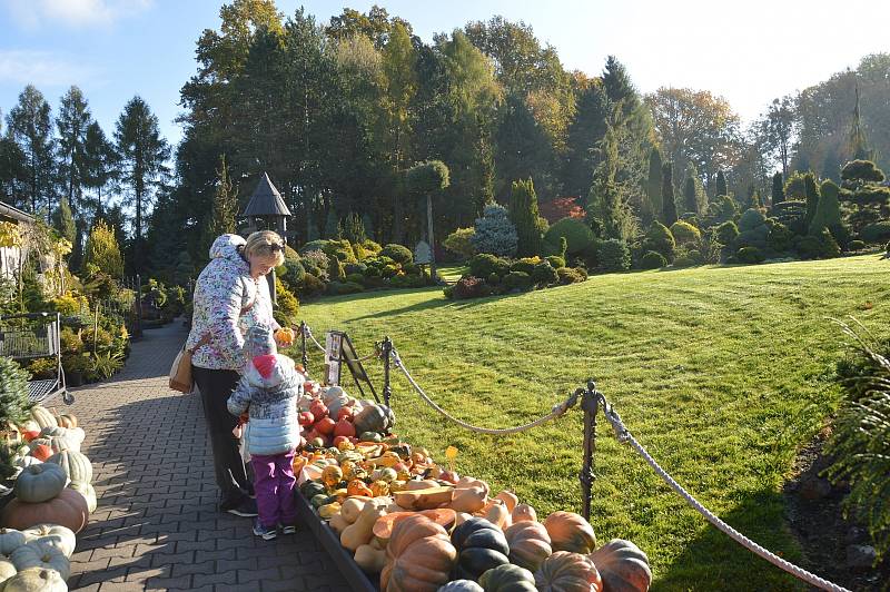 Miniarboretum u Holubů, Staříč, říjen 2021.