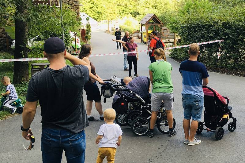 Pracovníci ostravské zoo varují v pátek návštěvníky před útěkem kočkodanů z místního výběhu. Zoo Ostrava, pátek 4. září 2020.