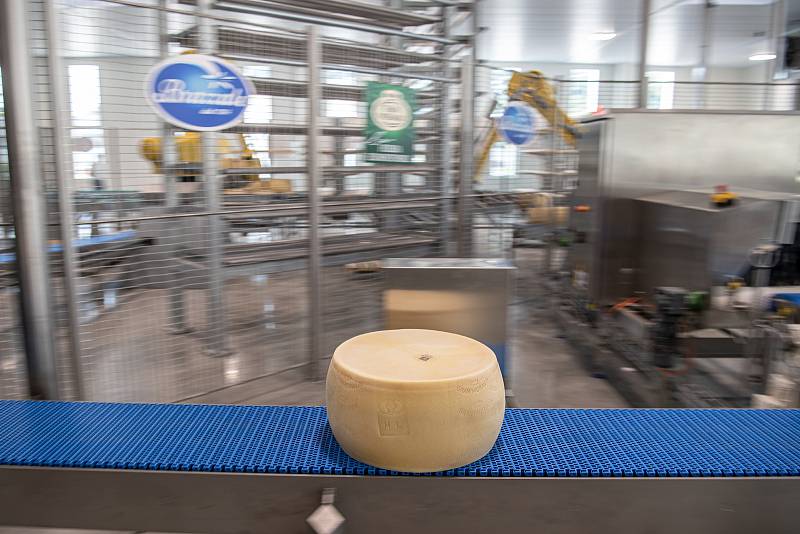 Robotizovaný sklad sklad sýrů společnosti Gran Moravia, 12. srpna 2021 v Cogollo del Cengio v provincii Vicenza, Benátsko, Itálie.