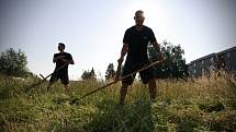 V Hrabůvce využili vysokou trávu k osobnímu tréninku 