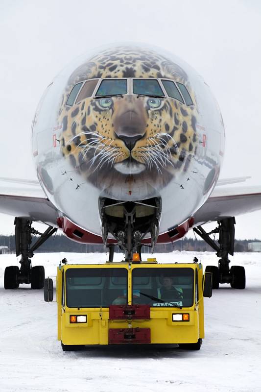 Rossiya Airlines Boeing 777 ozdobený nástřikem kriticky ohroženého levharta mandžuského.