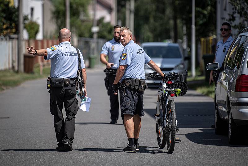 Policisté se strážníky pátrají po ztraceném krokodýlovi v okolí ulice Závodní, 26. července 2021 v Ostravě-Hrabůvce.