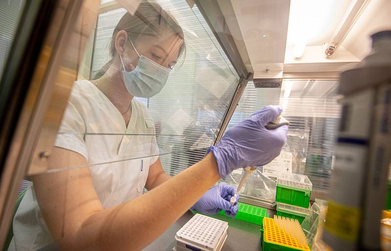 Testování vzorků koronaviru v laboratoři AGELLAB ve Vítkovické nemocnici v Ostravě. Ilustrační foto.