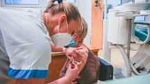 Fifejdská nemocnice má pro následující dny volné kapacity k očkování prioritních skupin proti covid-19. Čekací doba je nanejvýš tři až čtyři dny.
