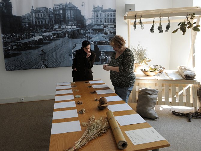 Pracovníci dvou odlišných vědeckých světů si pro návštěvníky Ostravského muzea připravili výstavu s názvem Cesty koření a užitkových rostlin do center vyspělých civilizací.