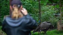 Zoologická zahrada Ostrava, poslední květnový víkend.