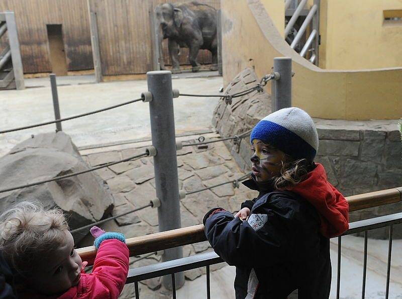 Nová a hezká tradice vznikla v sobotu v ostravské zoo. K množství akcí, které se zde pravidelně konají, přibyla další – masopustní průvod zvířecích masek. Do něj se zapojily desítky dětí, které přišly do zahrady se svými rodiči.