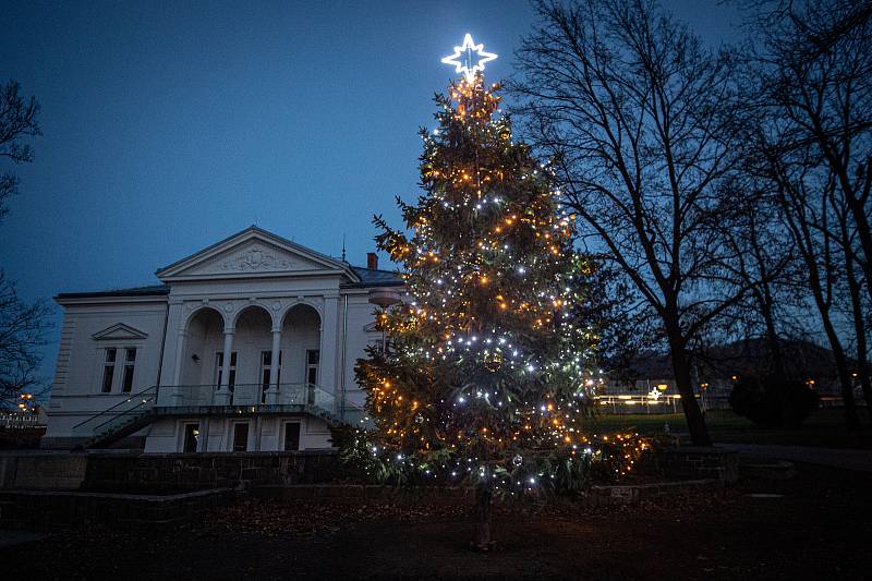 Vánoční strom v Kopřivnici v sadě Dr. Edvarda Beneše, 8. prosince 2020.
