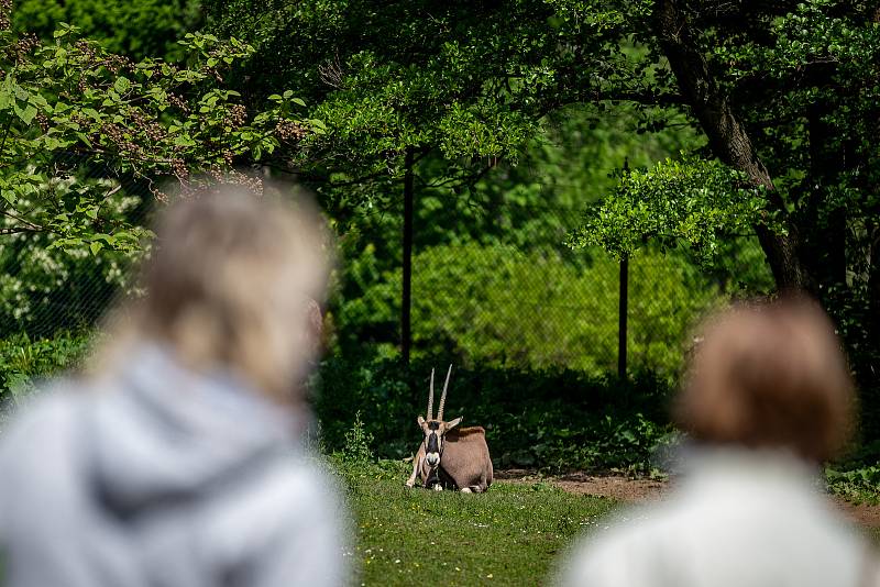 Zoologická zahrada Ostrava, poslední květnový víkend.