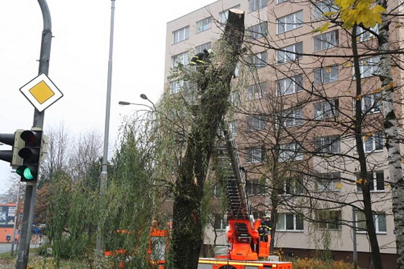 Vrbu, jejíž větve hrozily pádem, ořezávali v úterý dopoledne ostravští hasiči. Zasahovali u křižovatky ulic Plzeňské a U lesa nedaleko radnice v městské části Ostrava-Jih. 