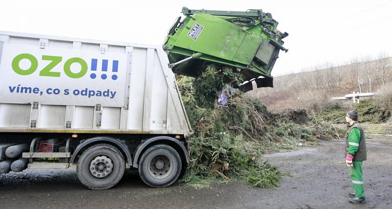 Vánoční stromky od popelnic se v Ostravě sváží po celý leden.