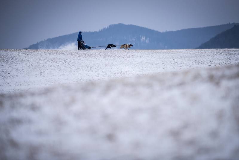 Jako na Aljašce si museli připadat lidé, kteří v sobotu navštívili Bordovice na Novojičínsku, kde se konaly závody psích spřežení.