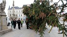 Do centra Ostravy dorazila dominanta vánoční výzdoby. Dvanáctimetrový smrk přivezli na Masarykovo náměstí z polesí v Horní Čeladné. 