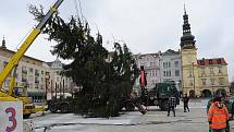 Do centra Ostravy dorazila dominanta vánoční výzdoby. Dvanáctimetrový smrk přivezli na Masarykovo náměstí z polesí v Horní Čeladné. 