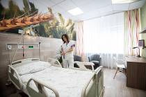 Nový nadstandardní pokoj (chirurgické lůžkové oddělení) ve Vítkovické nemocnici, 31. října 2018 v Ostravě. Na snímku  vrchní sestra chirurgického oddělení Nina Hrtanová.