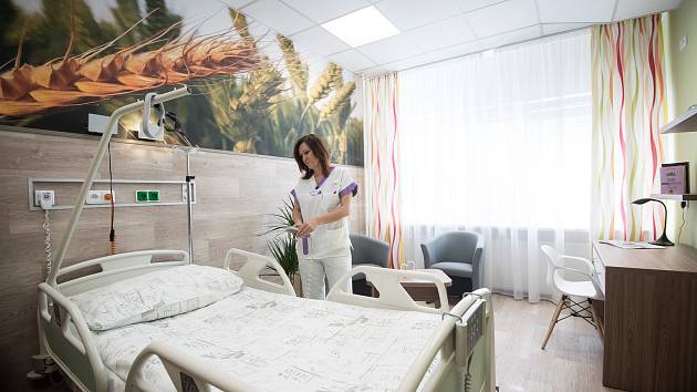 Nový nadstandardní pokoj (chirurgické lůžkové oddělení) ve Vítkovické nemocnici, 31. října 2018 v Ostravě. Na snímku  vrchní sestra chirurgického oddělení Nina Hrtanová.