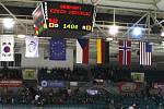 Mistrovství světa ve sledge hokeji, z utkání Česká republika vs. Německo