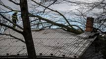 Hasiči odstraňují následný silného větru, 17. února 2022 v Ostravě.