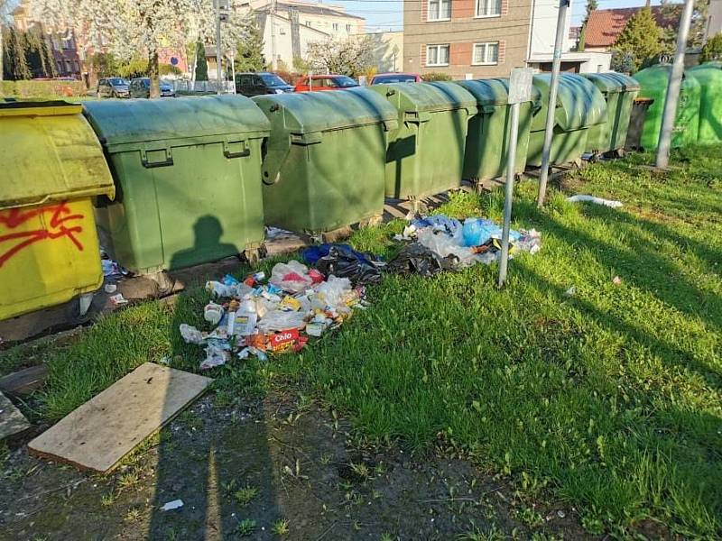 Svinčík okolo popelnic v Sadu Družby v Ostravě-Zábřehu kdosi zatím neznámý dělává často a dá se říci, že také s gustem. Ostrava, květen 2021.