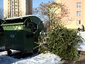 Až do konce ledna mají lidé možnost odkládat odstrojené vánoční stromky vedle kontejnerů na ostravských sídlištích.