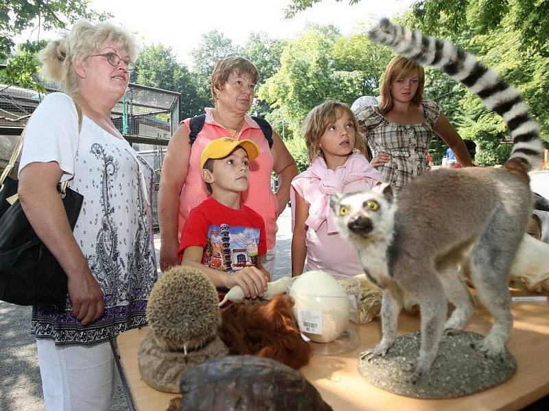 Atmosféra v ostravské zoo byla včera tvořivá. Děti navrhovaly výběh pro šelmy a mohly se vyřádit i u nejrůznějších zábavných soutěží a her.