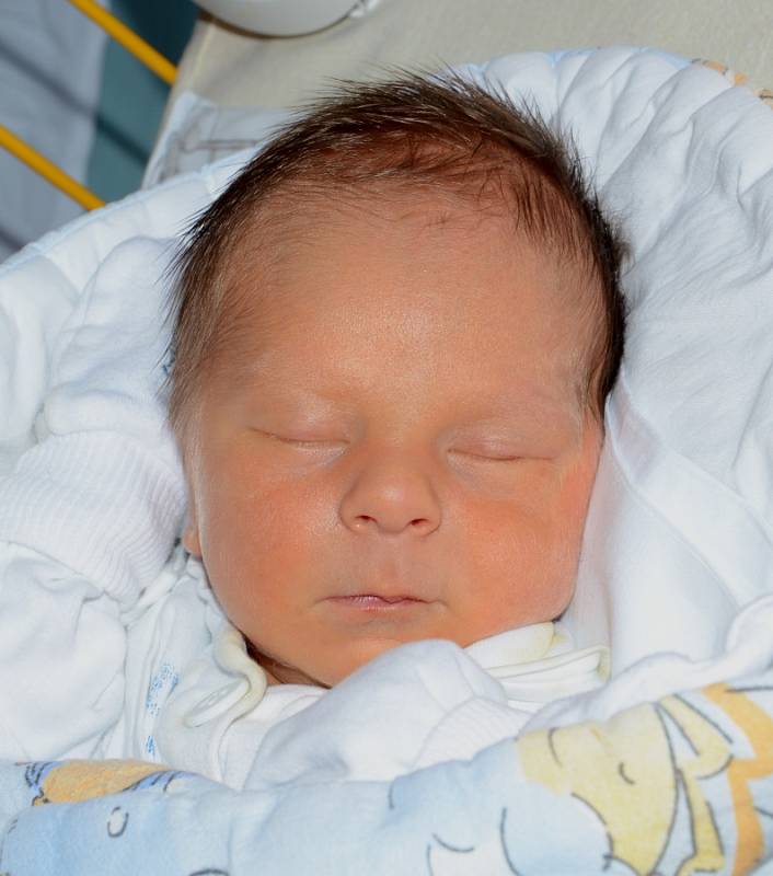 MARTIN BAIER 8. 1. 2017, 2950 g, 49 cm, Dobrá u Frýdku Místku