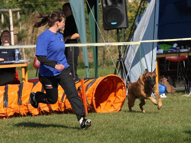 Šikovní pejsci o víkendu závodili v Ostravě-Třebovicích v agility.