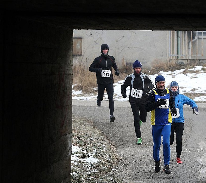 Moravskoslezský deník | Arktický maraton v Třebovicích | fotogalerie