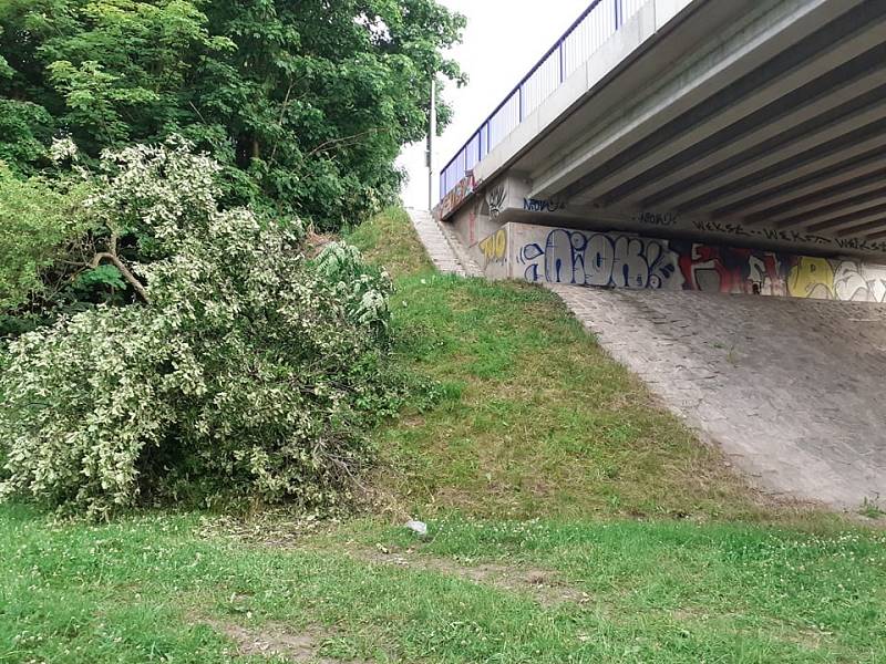 Auto v Ostravě skončilo v koruně stromu. Pak dopadlo k tramvajovým kolejím. Snímek z místa nehody.