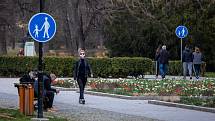 Ostrava (Komenského sady) v celostátní karanténě, 4. dubna 2020. Vláda ČR vyhlásila dne 15.3.2020 celostátní karanténu kvůli zamezení šíření novému koronavirové onemocnění (COVID-19).